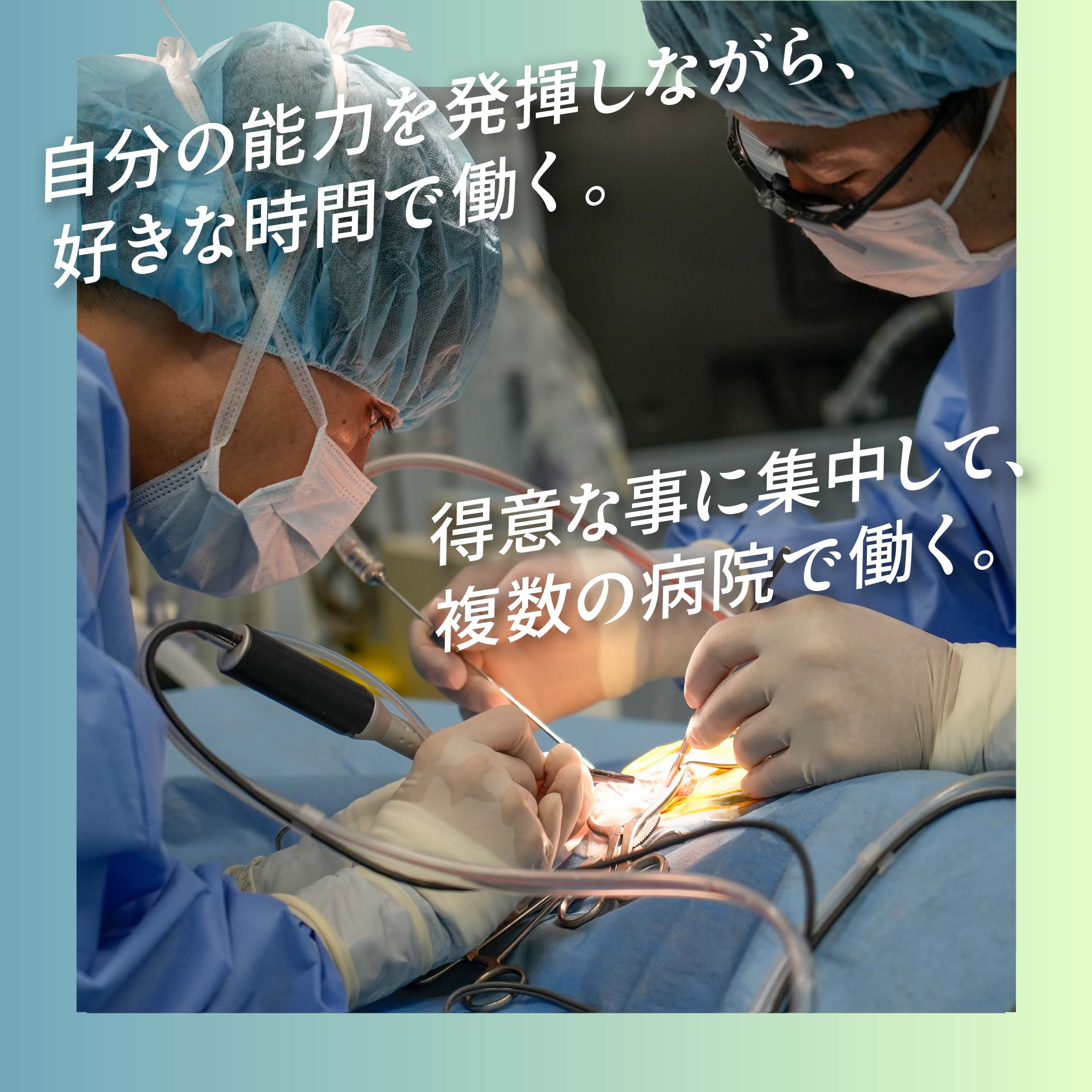 獣医外科学 2025年12月 新刊獣医学書特価販売キャンペーン 株式会社緑書房